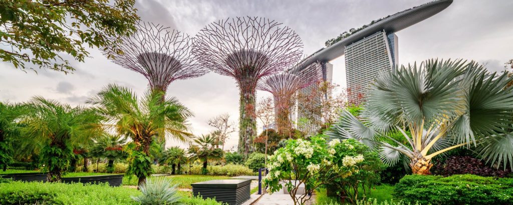 Gardens by the Bay light show